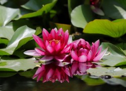 LV国际的时尚秀:一场视觉盛宴 LV国际的时尚秀:一场视觉盛宴