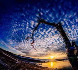 lv国际下载的客服支持:如何快速解决问题 lv国际下载的客服支持:如何快速解决问题