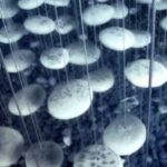 探索lv国际下载中的独家优惠和限时活动 le3ri1u4a