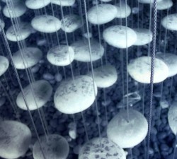 探索lv国际下载中的独家优惠和限时活动 探索lv国际下载中的独家优惠和限时活动