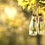 LV国际在文化艺术领域的贡献与参与 o5673q2