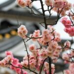 LV国际的产品定价策略与市场定位 reuafzjgw2