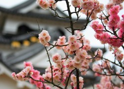 LV国际的产品定价策略与市场定位 LV国际的产品定价策略与市场定位