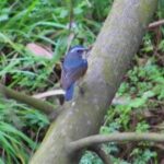 如何辨别lv国际官网商品的真伪与质量 wngdit9e5r