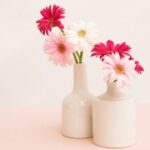 lv国际娱乐的魅力:探索奢华与娱乐的完美结合 y84bflzf2